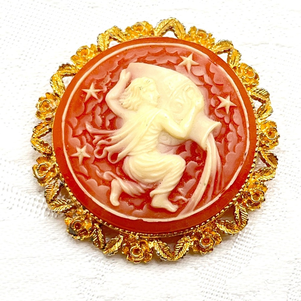 Vintage Pink Aquariusā Zodiac Astrological Water Bearer Cameo Brooch